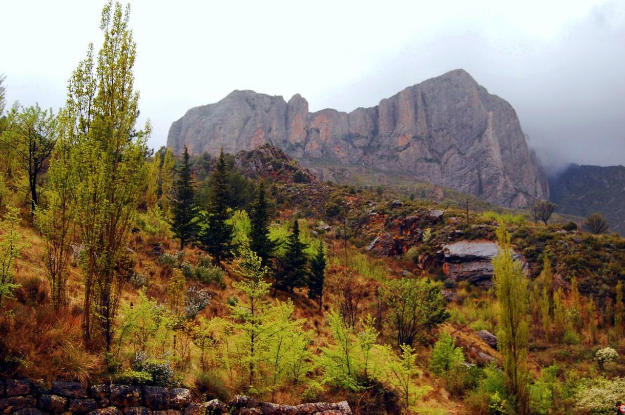 La Posada Del Arba El Frago Buitenkant foto