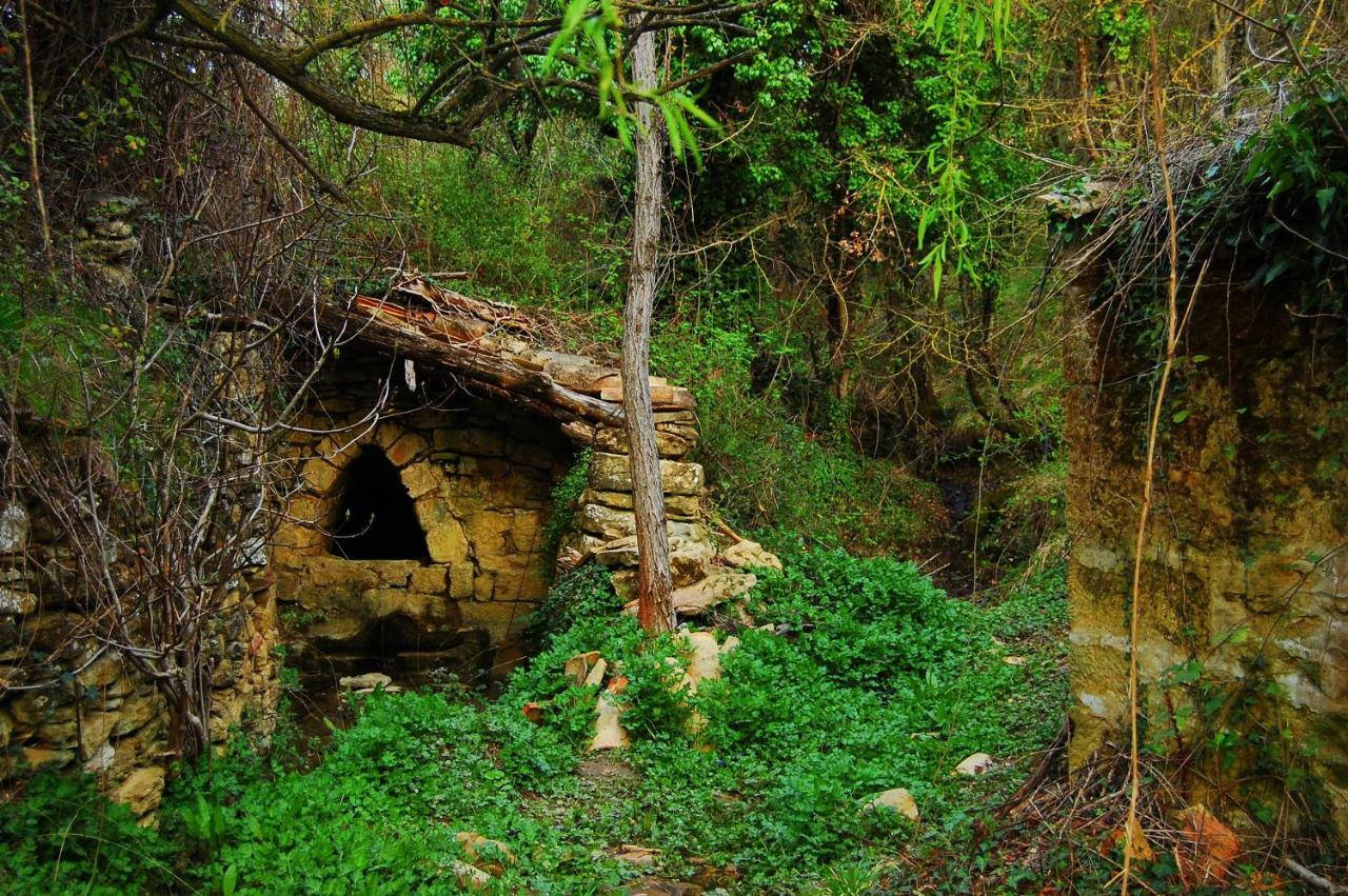 La Posada Del Arba El Frago Buitenkant foto